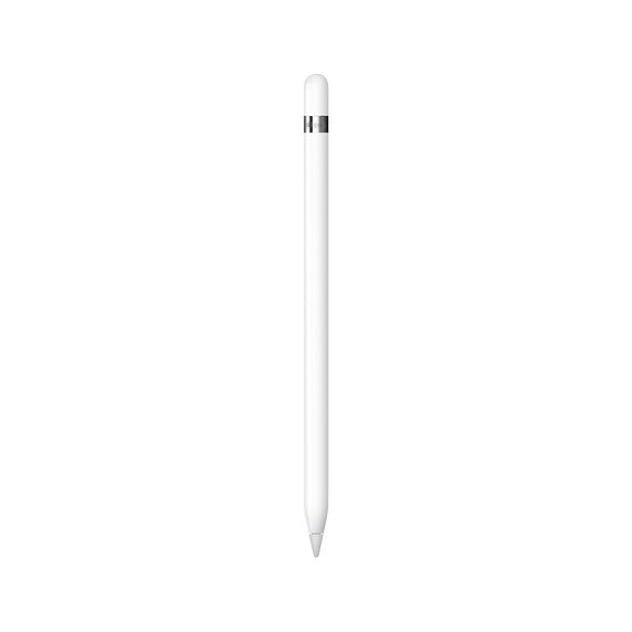1st Generation Apple Pencil for 10.2-inch iPad and 11-inch iPad